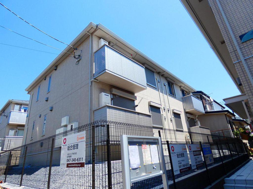 ステラD
