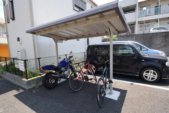 スプリングフォレスト