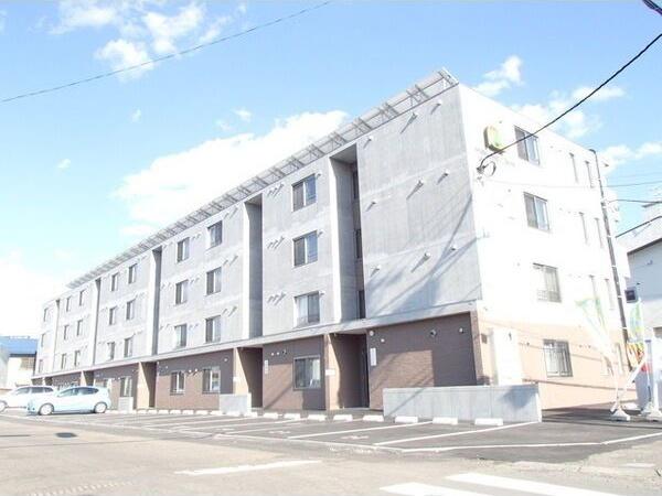 セントポーリアシェリル