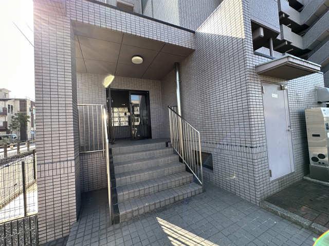 グレース芝