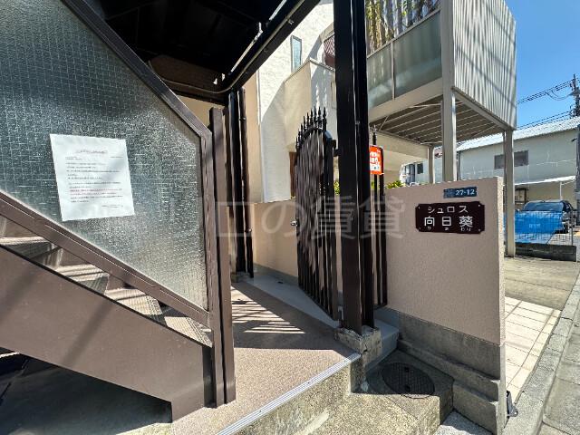 シュロス向日葵