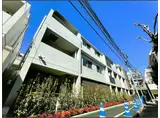 HAYAKAWA COURT SUN