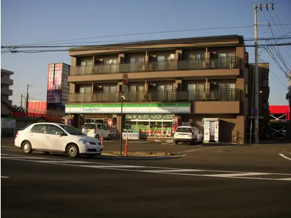 ハイツ中条(1DK/1階)の周辺写真