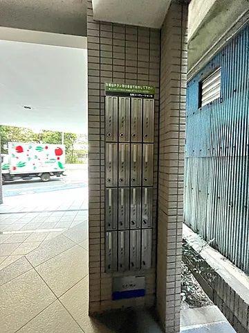 カルペンテリア エッセ