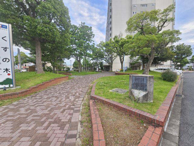 くすの木団地2