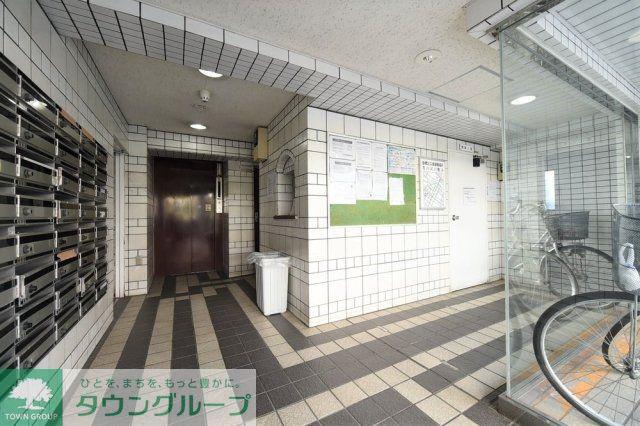 トップ蓮根