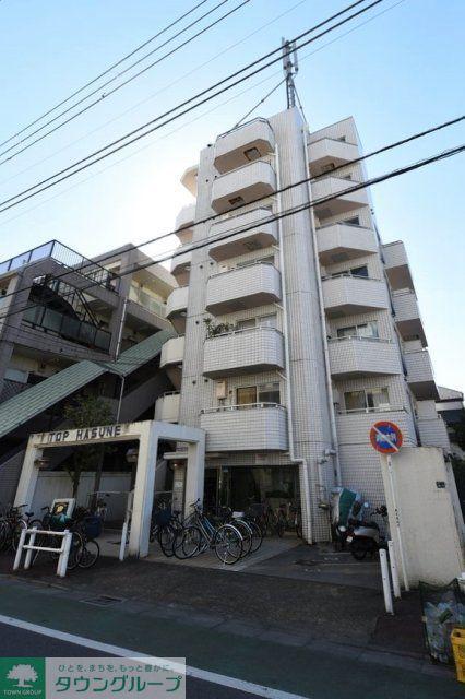 トップ蓮根
