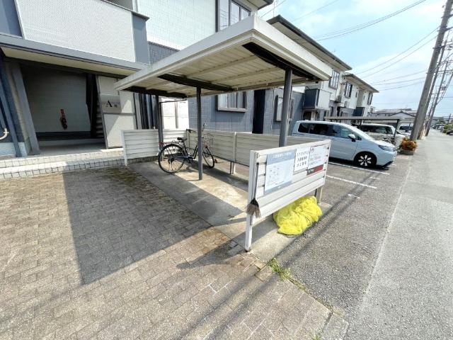 アマリリス A