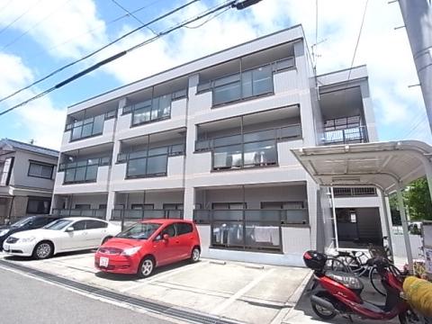 メゾンマリーゴールド