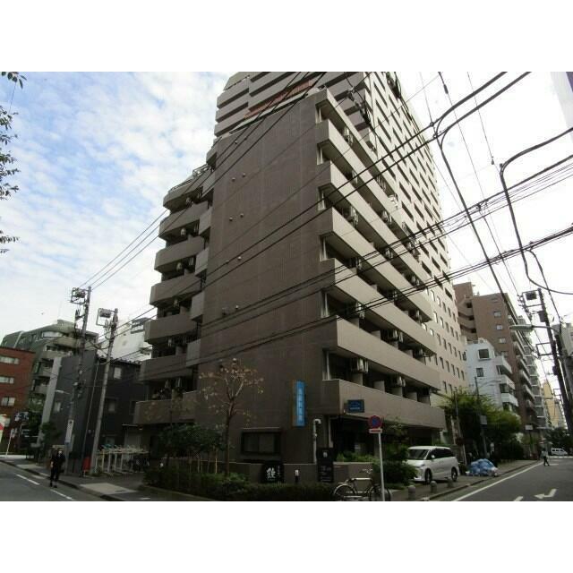 カテリーナ大森