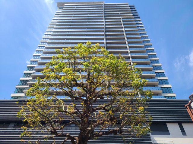 URAWA THE TOWER(2LDK/14階)
