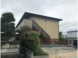 ドリームカム