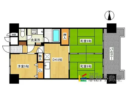 新生マンション広又(3DK/4階)の間取り写真