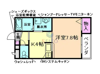 シャーメゾンYM(1K/3階)の間取り写真