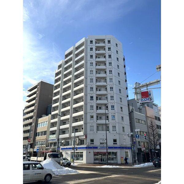 札幌壱番街マナー白鳥(1DK/10階)