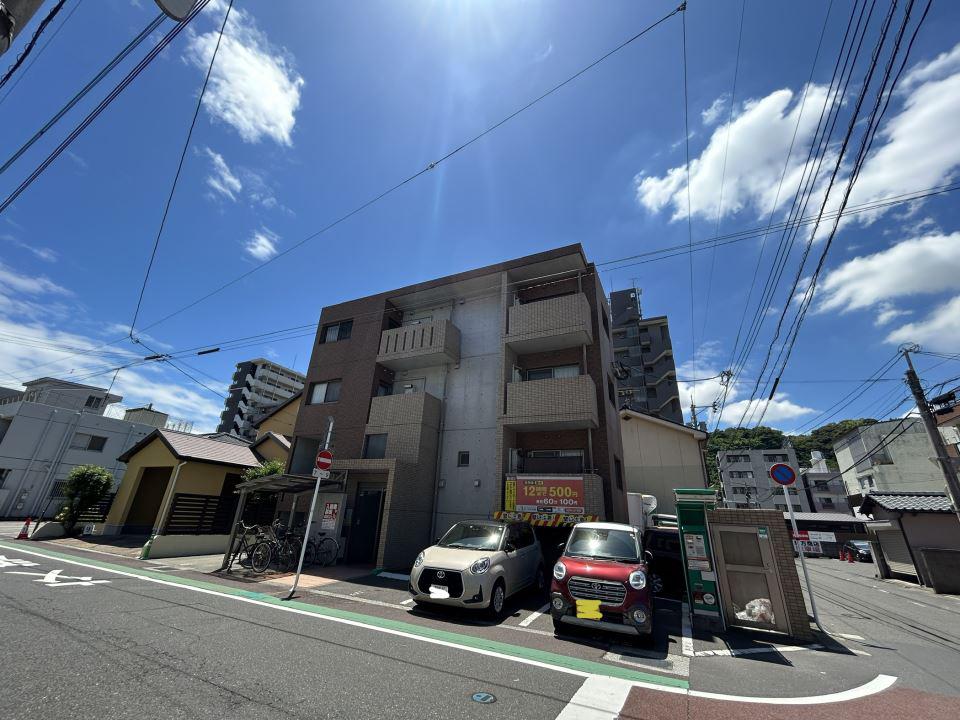 ステラ武