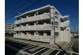 ウィンドローズ