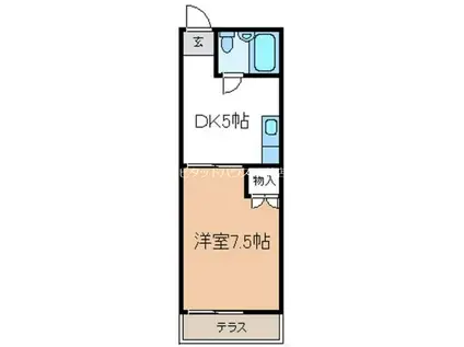 ハイツ光枝(1DK/1階)の間取り写真
