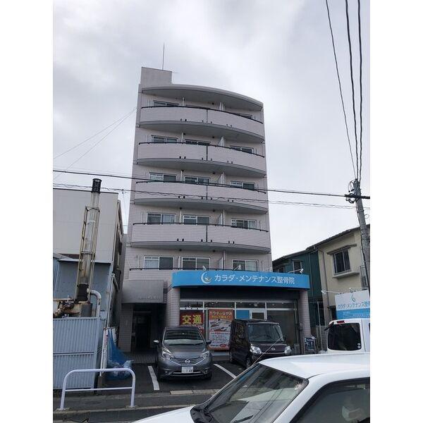 ルネッサンスワン