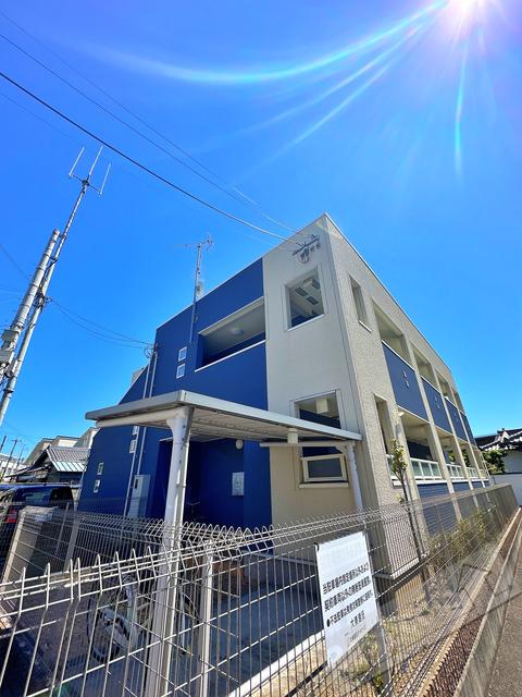 ハナミズキ