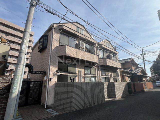 オリーヴマーム