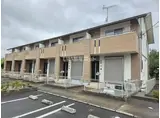 ウェルス