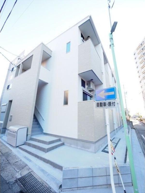 シトラスジュノス