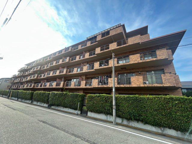 シャルマンコーポ甲子園北(3LDK/1階)