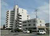 ラフィナート真栄