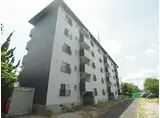 ドミールサニー緑町