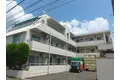 シェレバウム