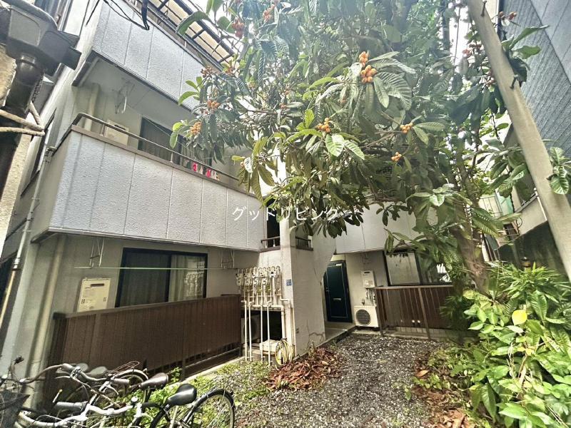 C.M.S シーエムエス