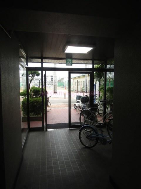 カィンド諏訪