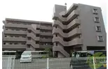 アイーラ渡辺