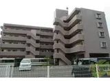 アイーラ渡辺