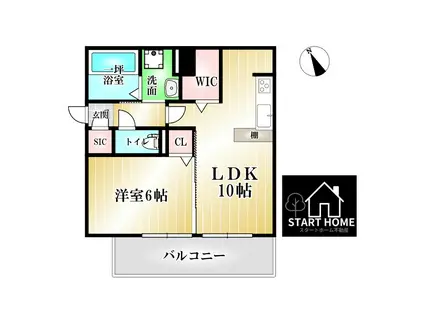 シエルコート(1LDK/1階)の間取り写真