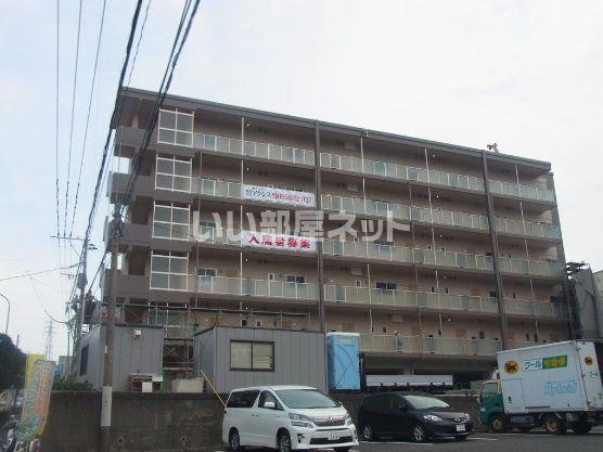 ムーンローズ