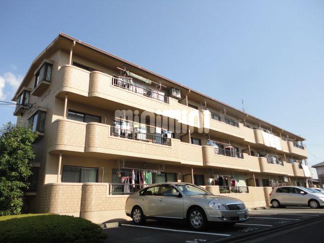 ドリーム雨坪