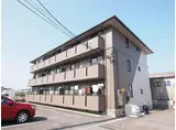 ハイカムールアルパ