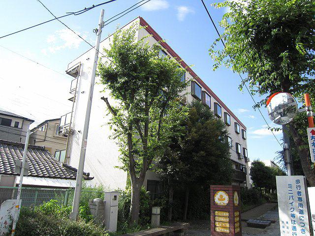 クリーク大桐
