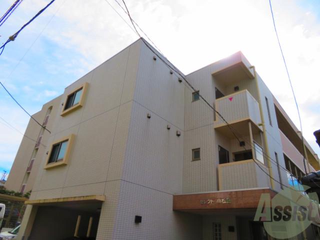 セレクト小松島(1LDK/1階)