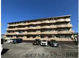 PASTORAL-SHIMA