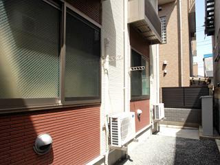 サニー秋桜