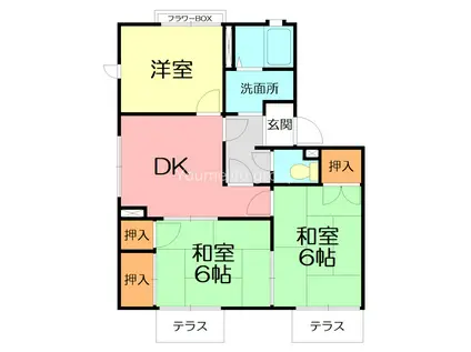 メゾントミオカ(3DK/1階)の間取り写真