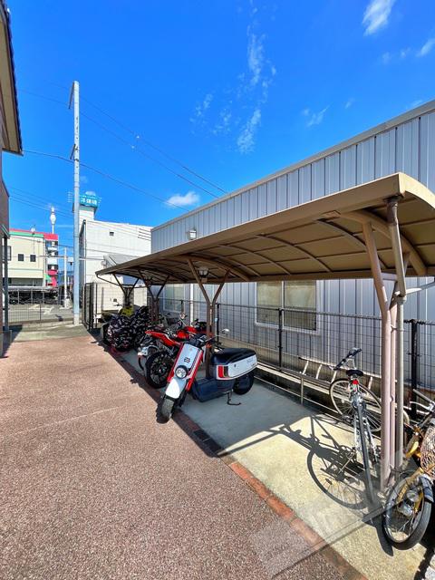 ピノコラ