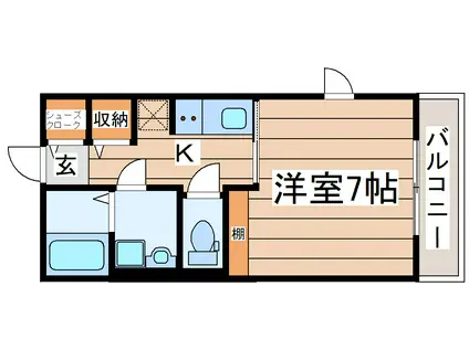 SAKURA HILLSII(1K/2階)の間取り写真