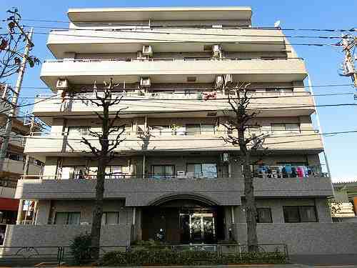 ドムール江古田