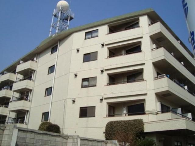 山王ハマセイホウ