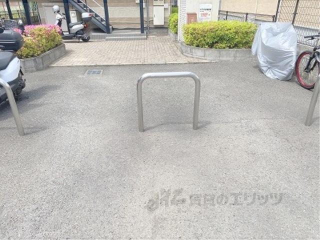 ロイヤルSK指柳