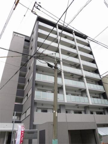 ステラ桜川